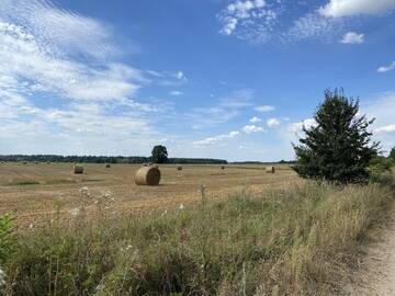 Фото номера Дом для отпуска Дома для отпуска Agroturystyka TaMarka г. Soce 42