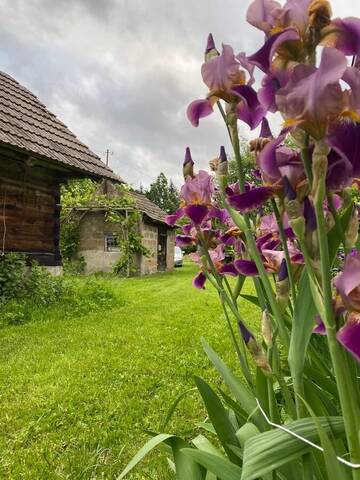 Фото номера Дом для отпуска Дома для отпуска Agroturystyka TaMarka г. Soce 27
