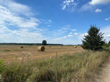 Фото номера Дом для отпуска Дома для отпуска Agroturystyka TaMarka г. Soce 70